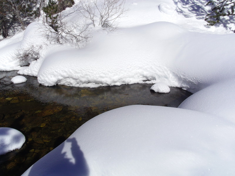 Bon gruix de neu
Raquetes a les Bulloses el 16/02/13
Foto de Barend van Drooge
