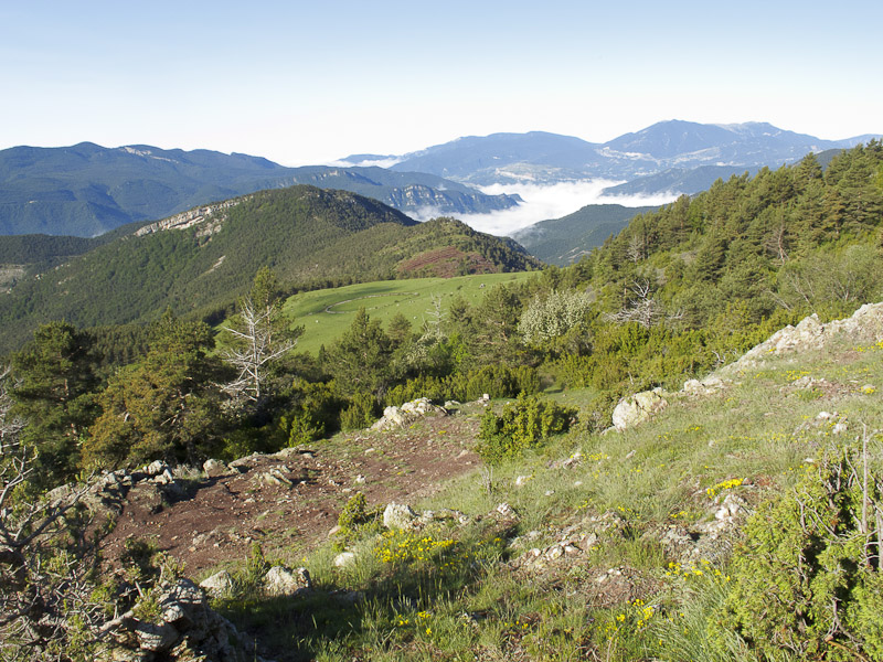 Vistes des de Tortes
Durant la sortida de l'AEL, el 22/6/13. Pujada al Tossal de Rus com a preparatòria per l'Aneto. Vistes del Catlaràs, Ensija, el pla d'Erols i la Vall de Lillet amb boira
