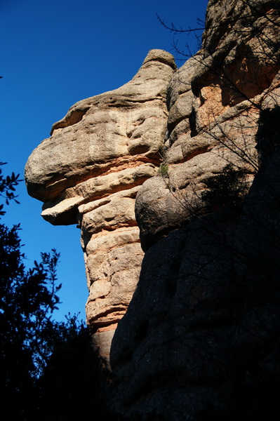 La Cadireta
Acabant la sortida de l'AEL, del dia 18/02/12, de les Agulles al Montgròs.
