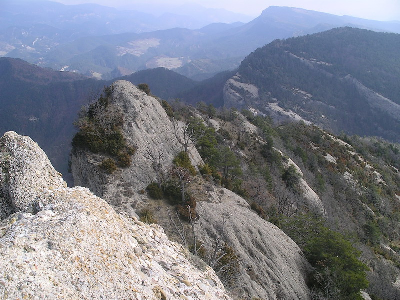 Vista des de roca forcada
Sortida de l'AEL a Roca Forcada (9/03/08).
Vista d'un "pollegó" de Roca Forcada, la Tossa de Montclús i Rasos de Tubau al fons
Paraules clau: AEL excursionisme roca forcada