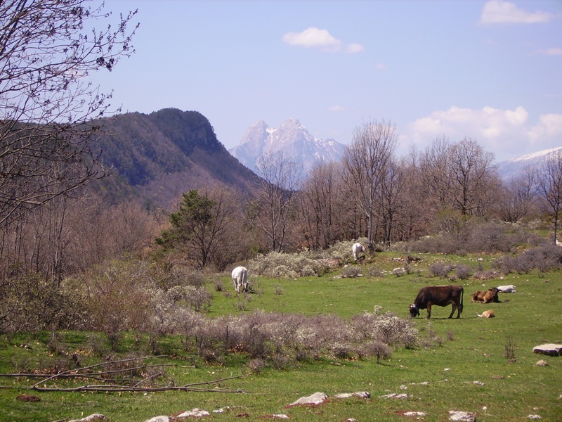 El Pedraforca desde Falgars
