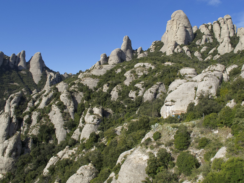 Montserrat
Durant l'excursió de l'AEL a les ermites de Montserrat. 9/03/2013
Paraules clau: montserrat ael ermites