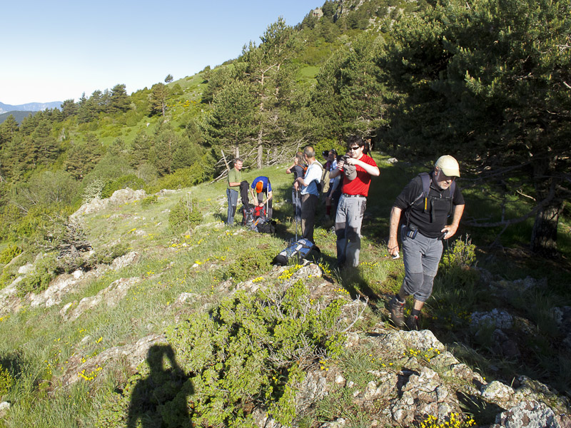 Fent una paradeta
Durant la sortida al Tossal de Rus, 22/6/13. Fent una paradeta després de la pujada des dels faigs de Tortes.
