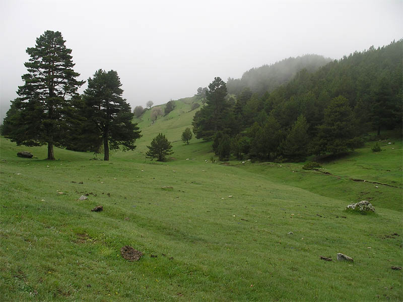 Pla de l'Orri
Preparació de la caminada 08. Pla de l'Orri
Paraules clau: orri caminada ael