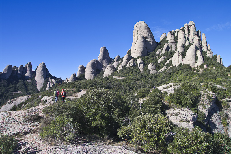 Ermites de Montserrat
Durant l'excursió de l'AEL a les ermites de Montserrat. 9/03/2013
Paraules clau: montserrat ael ermites