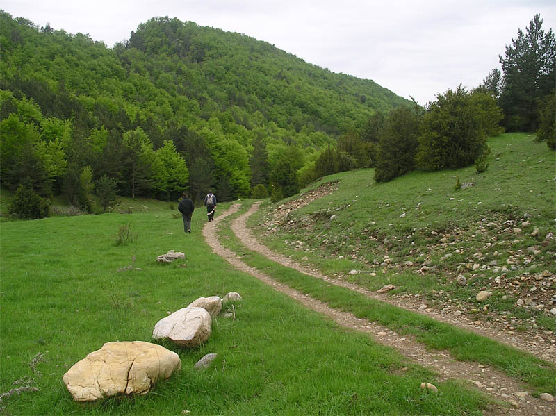 Cami a Sant Romà de la Clusa
Preparació de la caminada 08. Arribant a Sant Romà de la Clusa
Paraules clau: Sant Romà clusa caminada ael