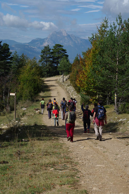 Coll de Sant Miquel
Durant la sortida de la repetició de la Caminada Popular del 2008. Prop del coll de Sant Miquel amb el Pedraforca al fons
Paraules clau: ael excursió pedraforca