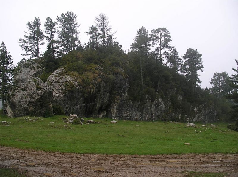 Roc del Catllaràs
Preparació de la caminada 08. Roc del Catllaràs, on es farà l'esmorzar 
Paraules clau: catllaràs roc caminada ael