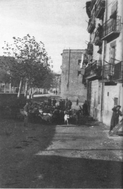 un ramat d´ovelles pel carrer
