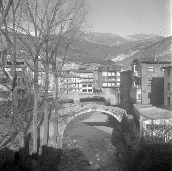 Vista del Pont de la Petita
