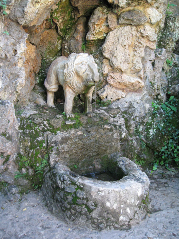 Font del lleó
Un altre evangelista posat simbòlicament al parc.
