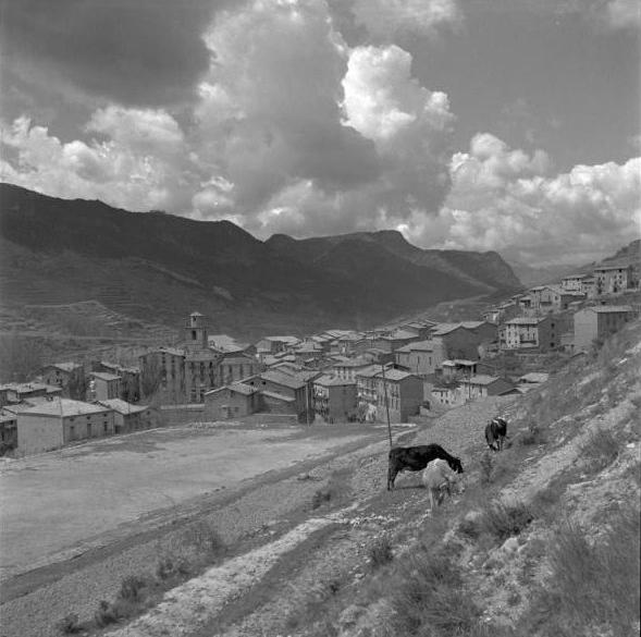 Vista des de el Firal
